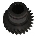Z12885.jpg