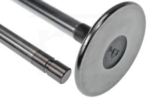 R504060  ZAWÓR SSĄCY