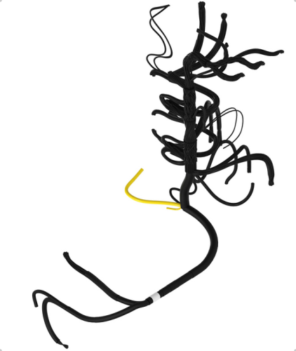 AA48411.png