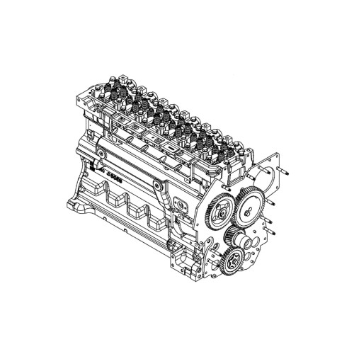 RM100312.jpg