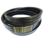 Z59286 PAS