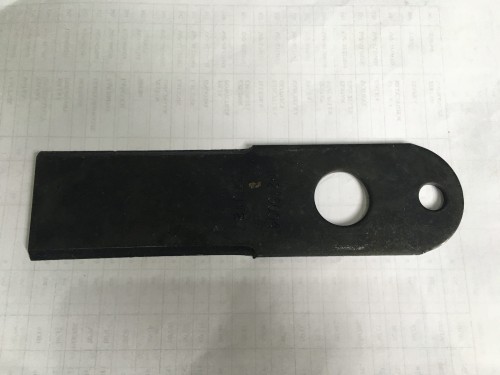 noz H215004.JPG