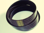 Z61857 PAS