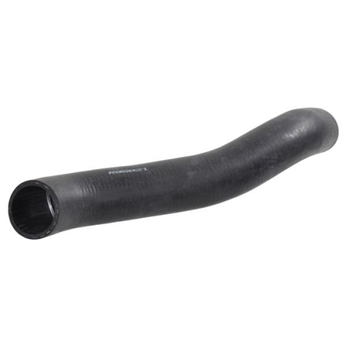 r95021.jpg